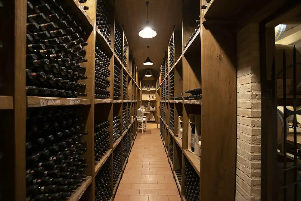 A dark wine cellar with limited light