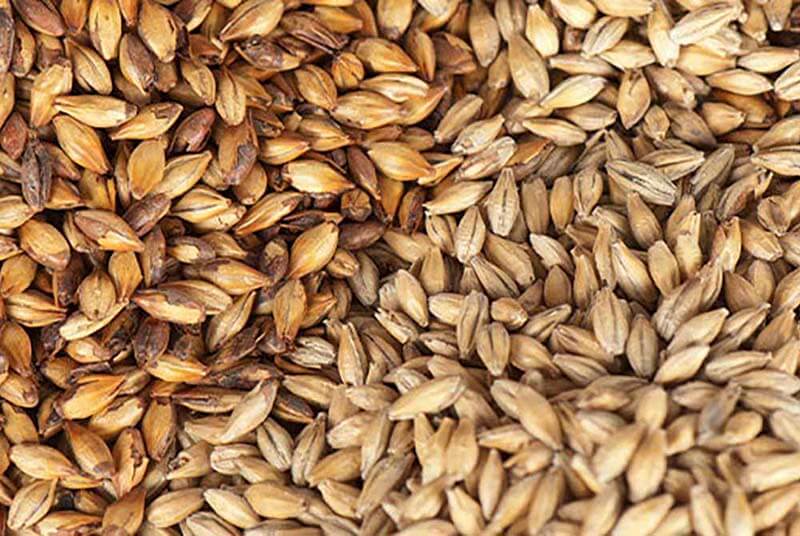 The Comprehensive Guide to European Grain Varieties