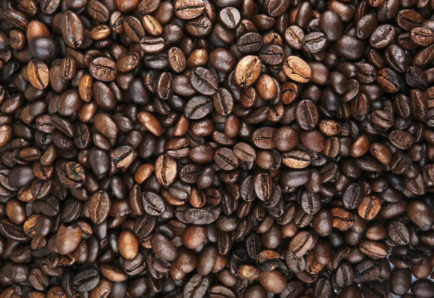 Coffee espresso bean texture pile