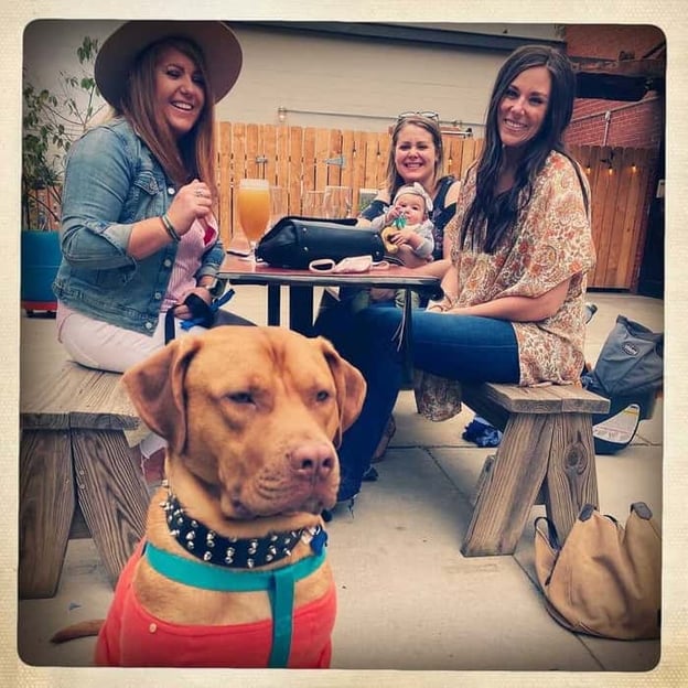 Group of girlfriends enjoying beer at outdoor seating at Free Range Brewing with dog and baby