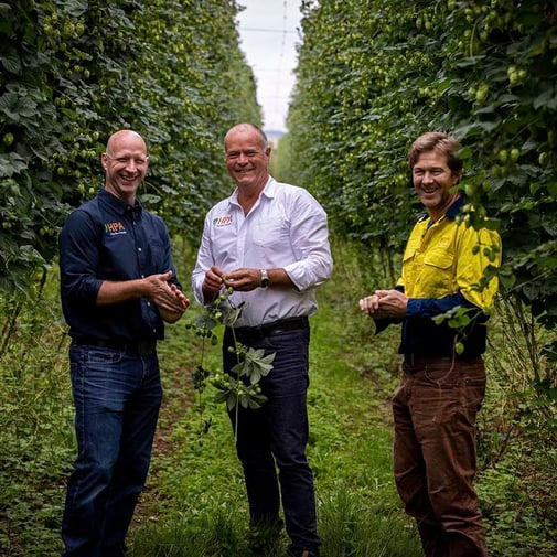 Hop Products Australia team standing in hop field
