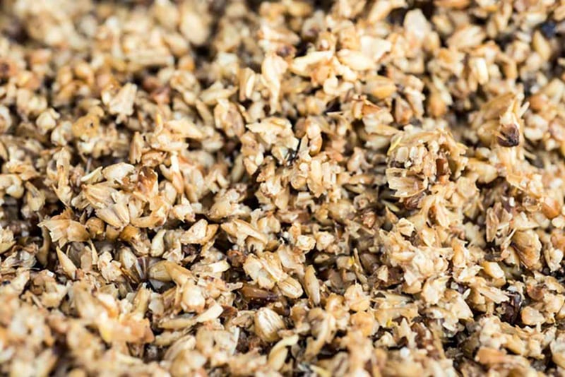 Up close image of spent grain after the brewing process