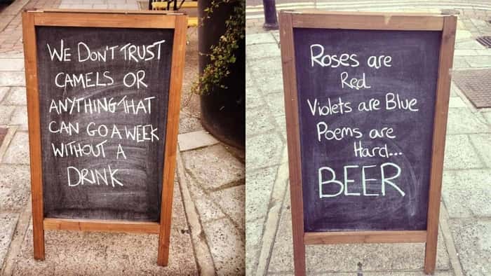 37 Funny Bar Signs to Increase Foot Traffic to Your Brewery or Bar
