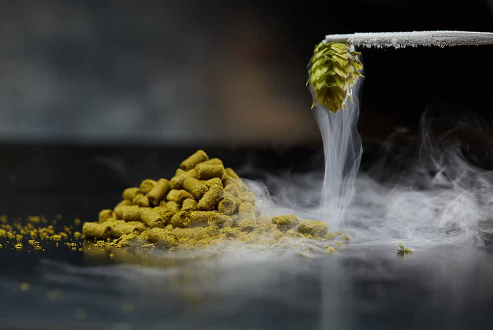 Why Cryo Hops® Are the Coolest Hop Trend