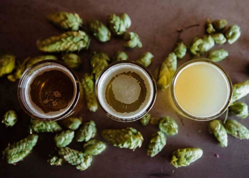 The Complete Guide to Noble Hops